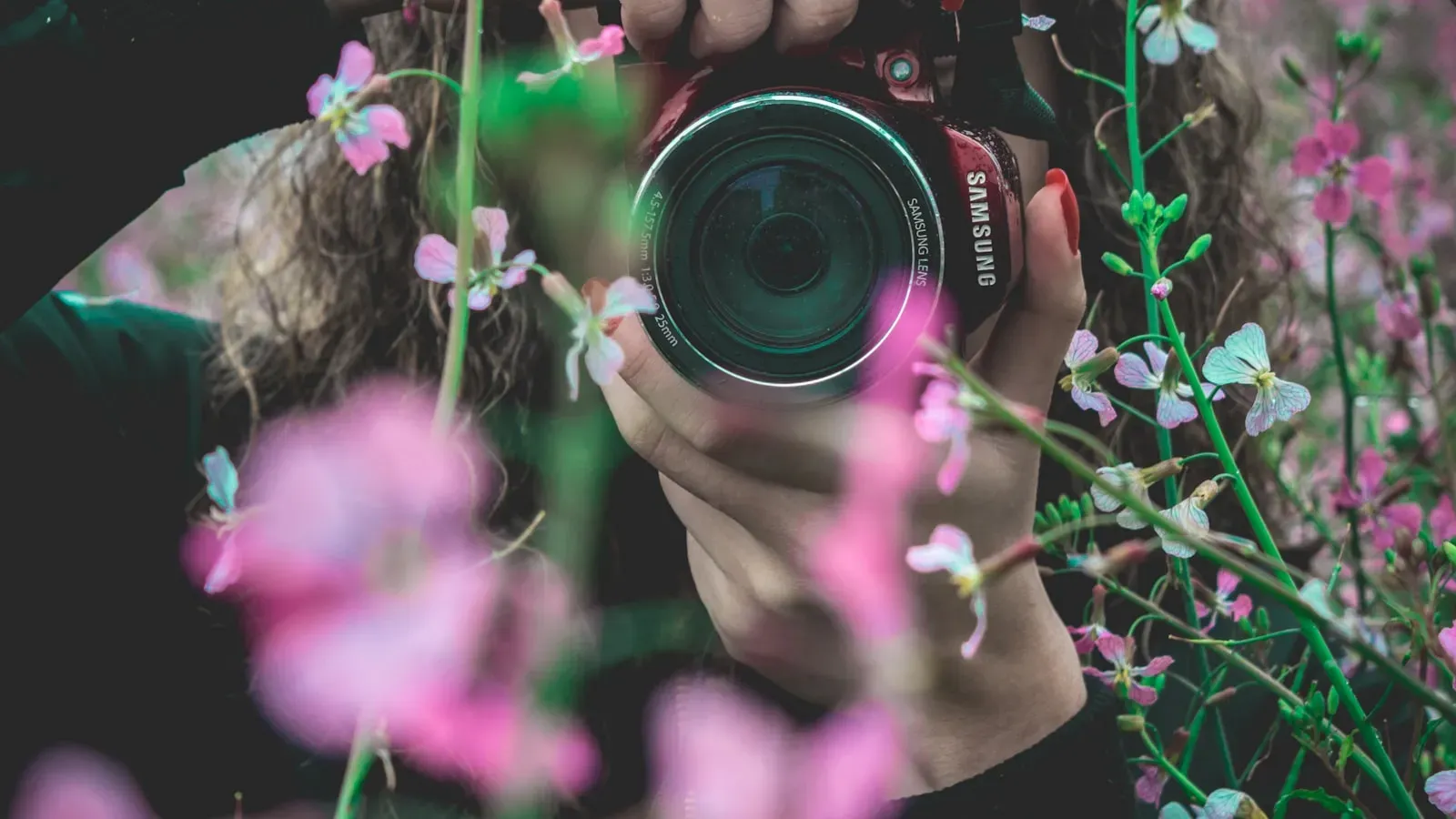 Self-hosted photo library on a server